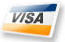 Visa to buy repair order software